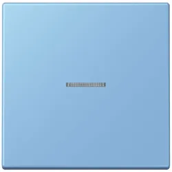 Jung Wippe mit Lichtleiter LC 101 KO5 256