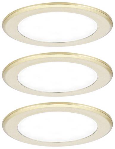 Paulmann LED-Schrankleuchte LED 2.5W Neutralweiß Gold (matt)
