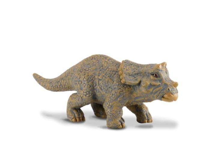 Collecta Triceratops van de baby