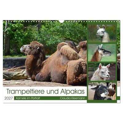 Trampeltiere und Alpakas (Wandkalender 2027 DIN A3 quer), CALVENDO Monatskalender