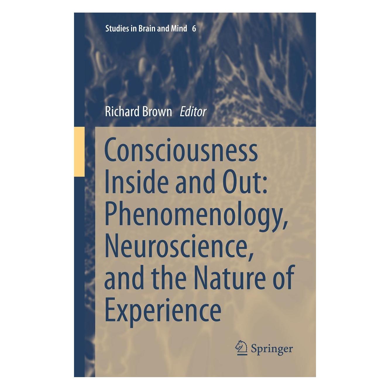 Springer Consciousness Inside and Out: Phenomenology, Neuroscience, and the Nature of Experience (Englisch, Hardcover, Richard Brown) (9789400760004)