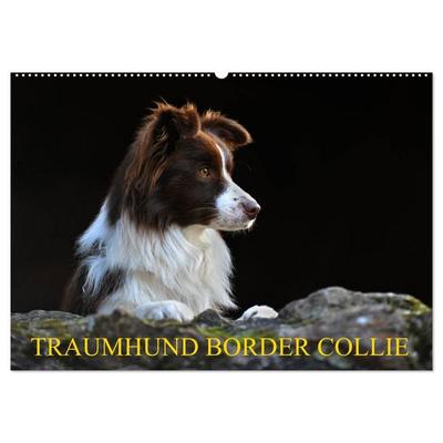 Traumhund Border Collie (Wandkalender 2027 DIN A2 quer), CALVENDO Monatskalender