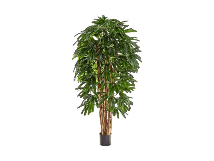 Lebensechte Kunstpflanze „Rhapis Tuft“, verschiedene Grössen Grün Baq Design