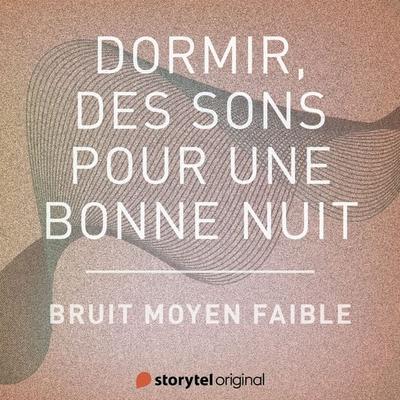 Bruit moyen faible - Patricio Samuelsson, Audio, 9789180359603