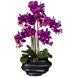 CREATIV green künstliche Pflanze Phalaenopsis x5, ca 75cm lila, in Kunststoffvase schwarz 30x17x12cm, Real Touch