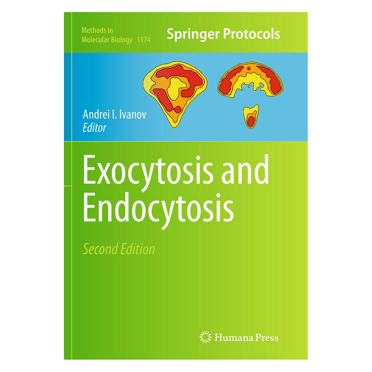 Springer Exocytosis and Endocytosis (Englisch, Softcover, Andrei I. Ivanov) (55833724)