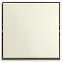 Busch-Jaeger Wippschalter AP 2601/6 J-522