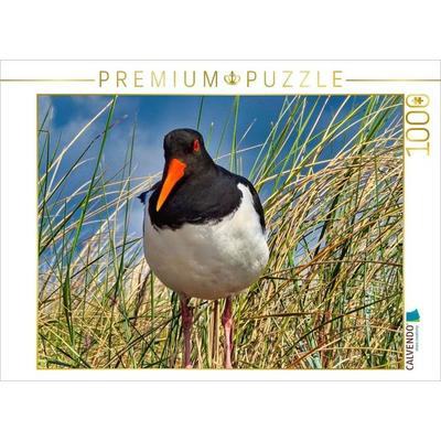 CALVENDO Puzzle Einheimischer | 1000 Teile Lege-Größe 64x48cm Foto-Puzzle für glückliche Stunden