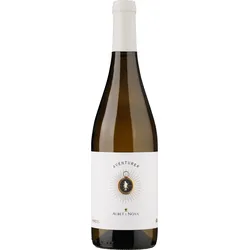 Aventurer blanc Penedès DO 2024, Bio Weisswein, Biowein