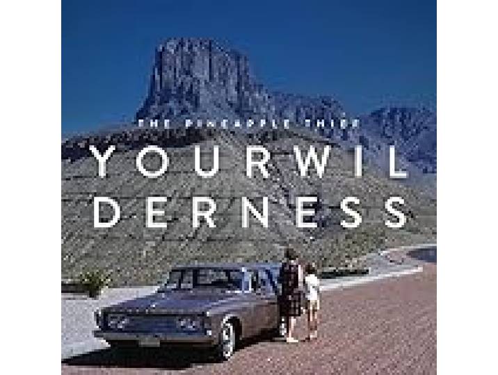 Your Wilderness