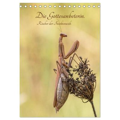 Die Gottesanbeterin. Räuber der Insektenwelt. (Tischkalender 2027 DIN A5 hoch), CALVENDO Monatskalender