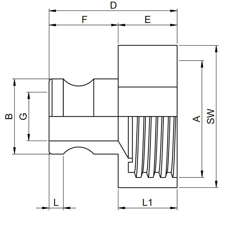 REKUBIK IBC Edelstahl Adapter S60x6 - Camlock Stecker VT (SS316L) DN 15 (1/2")