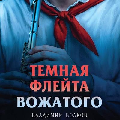 Temnaya fleyta vozhatogo - Vladimir Volkov, Audio, 9785042314483