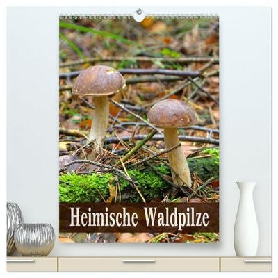 Heimische Waldpilze (hochwertiger Premium Wandkalender 2027 DIN A2 hoch), Kunstdruck in Hochglanz