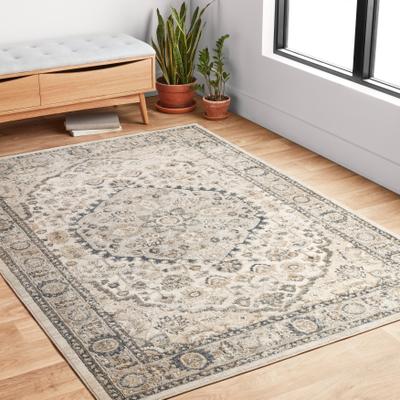 Alexander Home Josefina Floral & Medallion Traditional Area Rug