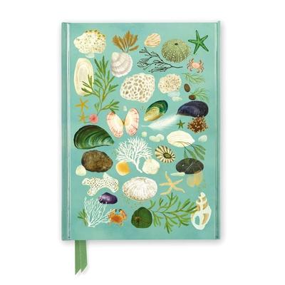 Premium Notizbuch DIN A5: Katherine Quinn, Strandgut sammeln, Nonbook von Flame Tree Publishing, Browntrout, 978-1-83562-525-5