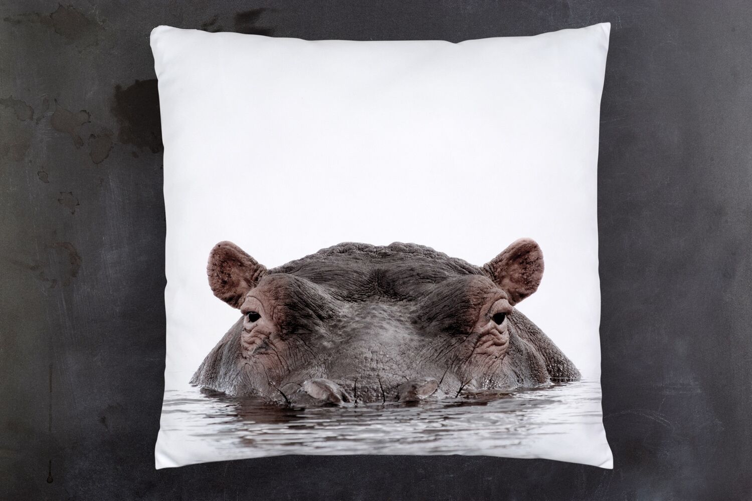 Dekokissen QUEENCE "Flusspferd", weiss (weiß, bedruckt), B:40cm H:1cm L:40cm, Polyester, Dekokissen_Sitzkissen_Kissenhüllen, Dekokissen, Kissenhülle mit HD Premium Druck, geruchsneutral, 40x40cm weiß, bedruckt B/L: 40cm x 40cm, 1 Stk.