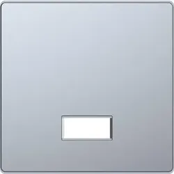 Merten Wippe mit rechteckigem Symbolfenster, System Design, Edelstahl (lackiert)