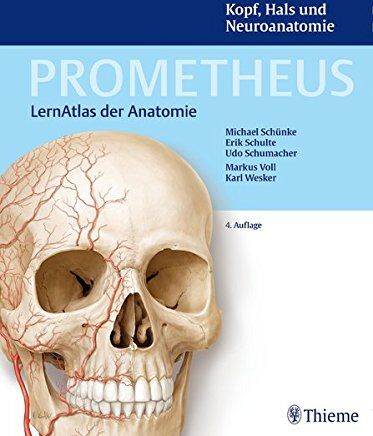 Michael Schünke - Kopf, Hals und Neuroanatomie (Prometheus: LernAtlas der Anatomie) - Preis vom 19.10.2026 19:33:35 h