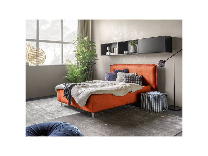 Polsterbett Homely 160 x 200cm Microfaser Panja Kupfer Buche