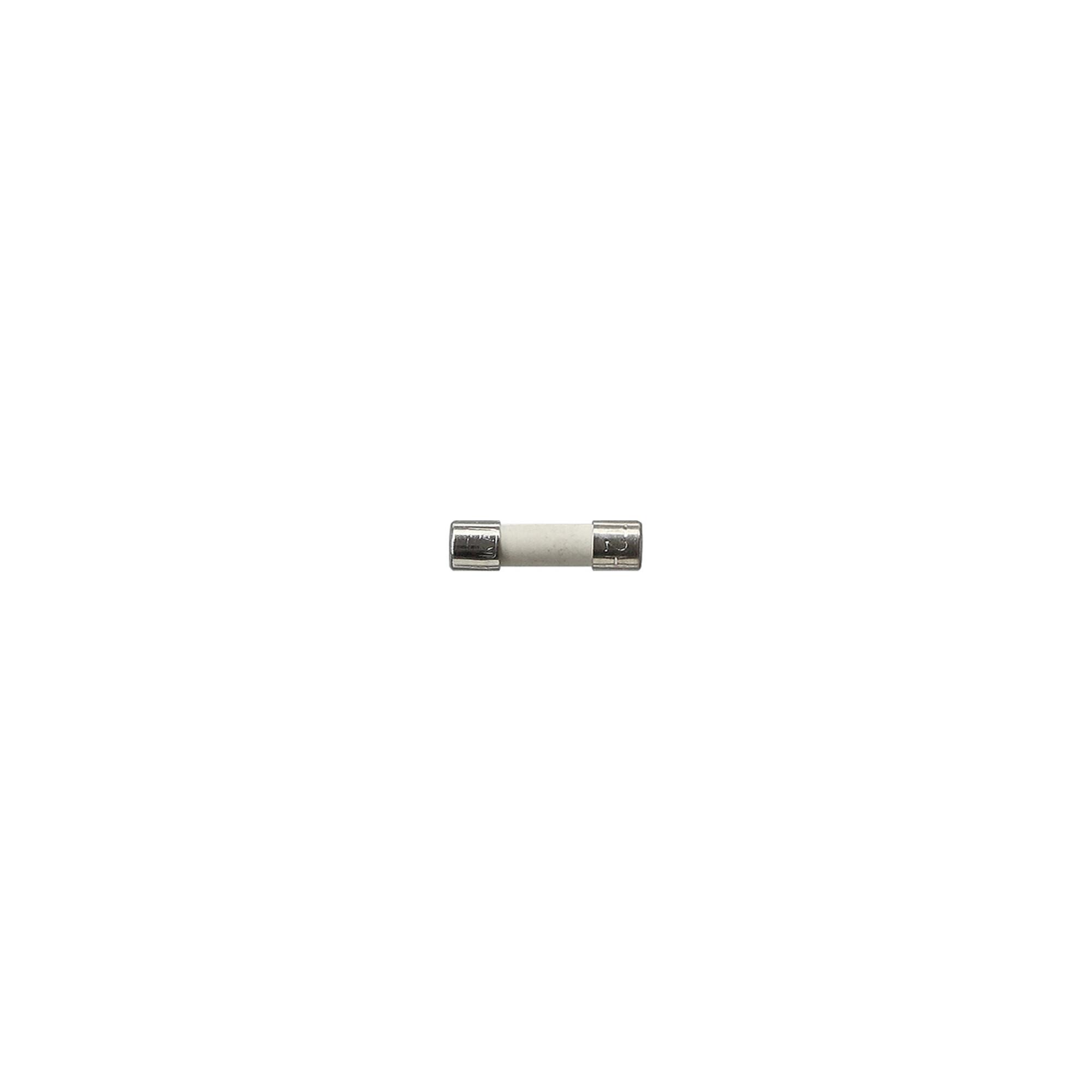 Gira Sicherung T2 H 250 V 049806)
