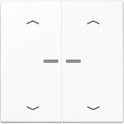Jung Wippe Symbole/Lichtl.aws LS 995 KO5MP WW