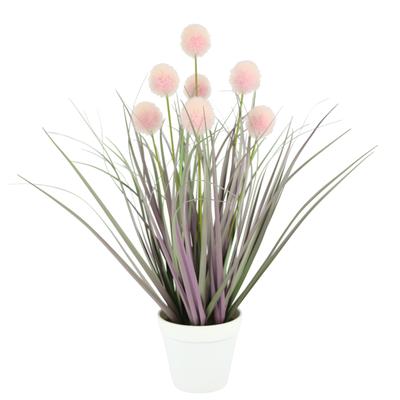 Kunstpflanze I.GE.A. "Kunstgras Knopfgras Deko Pflanze im Topf 44 cm", burgund, B:20cm H:44cm L:18cm, Kunststoff, Kunstpflanzen, Kunstpflanze, Ziergras mit rosa Blütenbällen, pflegeleicht, künstliche Zimmerpflanze