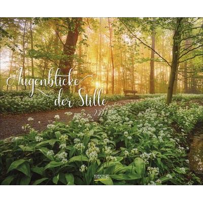 Augenblicke der Stille 2027