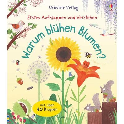 Erstes Aufklappen und Verstehen: Warum blühen Blumen?, Gebundene Ausgabe von Katie Daynes, Usborne, 978-1-78232-572-7