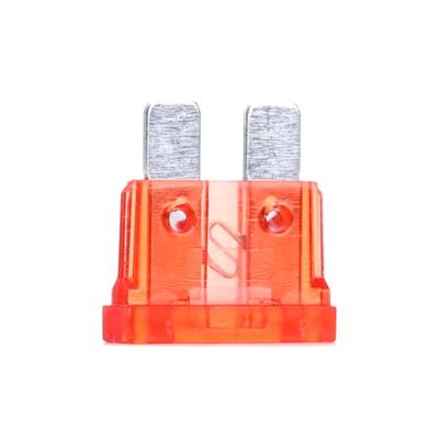 BOSCH Sicherung 1 904 529 905 A072581000304,1205273H1,072581000304