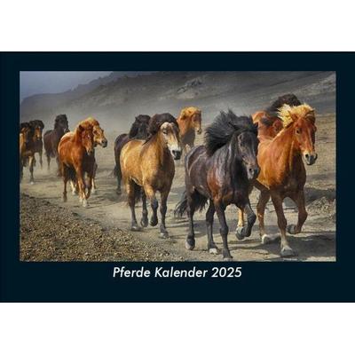 Pferde Kalender 2025 Fotokalender DIN A5