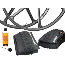 BIKE AHEAD COMPOSITES Laufradsatz 32" Biturbo X 32 Safewing | Boost |