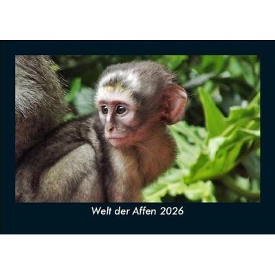 Welt der Affen 2026 Fotokalender DIN A5