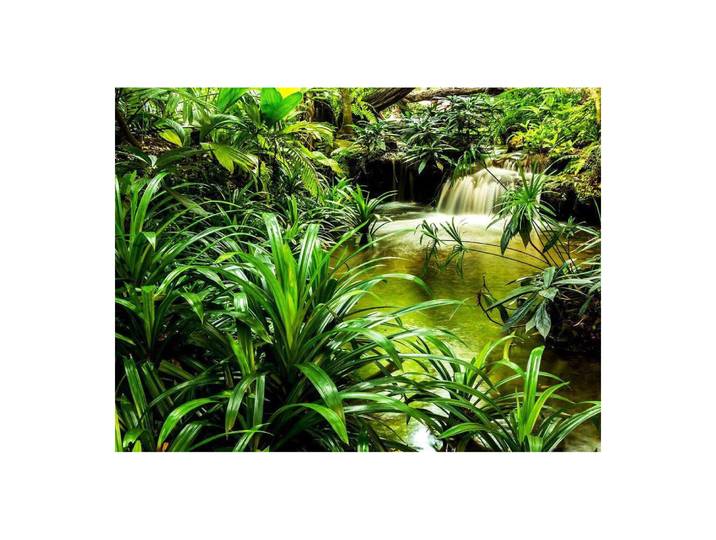 Jungle Waterfall Lagoon\, Photo Murale Intissée\, 360x270 Cm\, 4 Parts