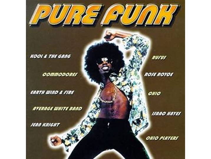 Pure Funk / Various