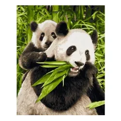 Pandabären Malen nach Zahlen