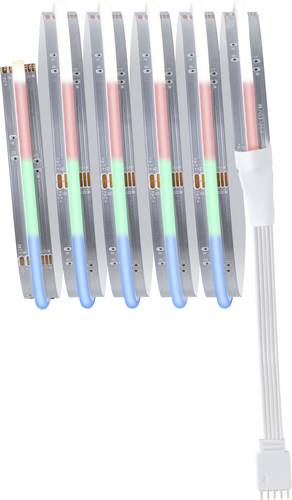 Paulmann 71197 MaxLED Home LED-Stripe (Starter-Kit) 10W RGBW Weiß, Klar