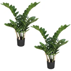 CREATIV green künstliche Pflanze Zamifolia, 70cm, 2er Set