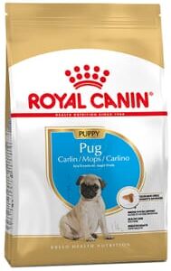 Royal Canin Ração Carlino Adulto 3 Kg