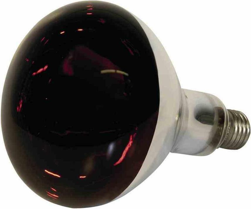 Kerbl Infraroodlamp voor het verwarmen van de bodembedekking, 250 W