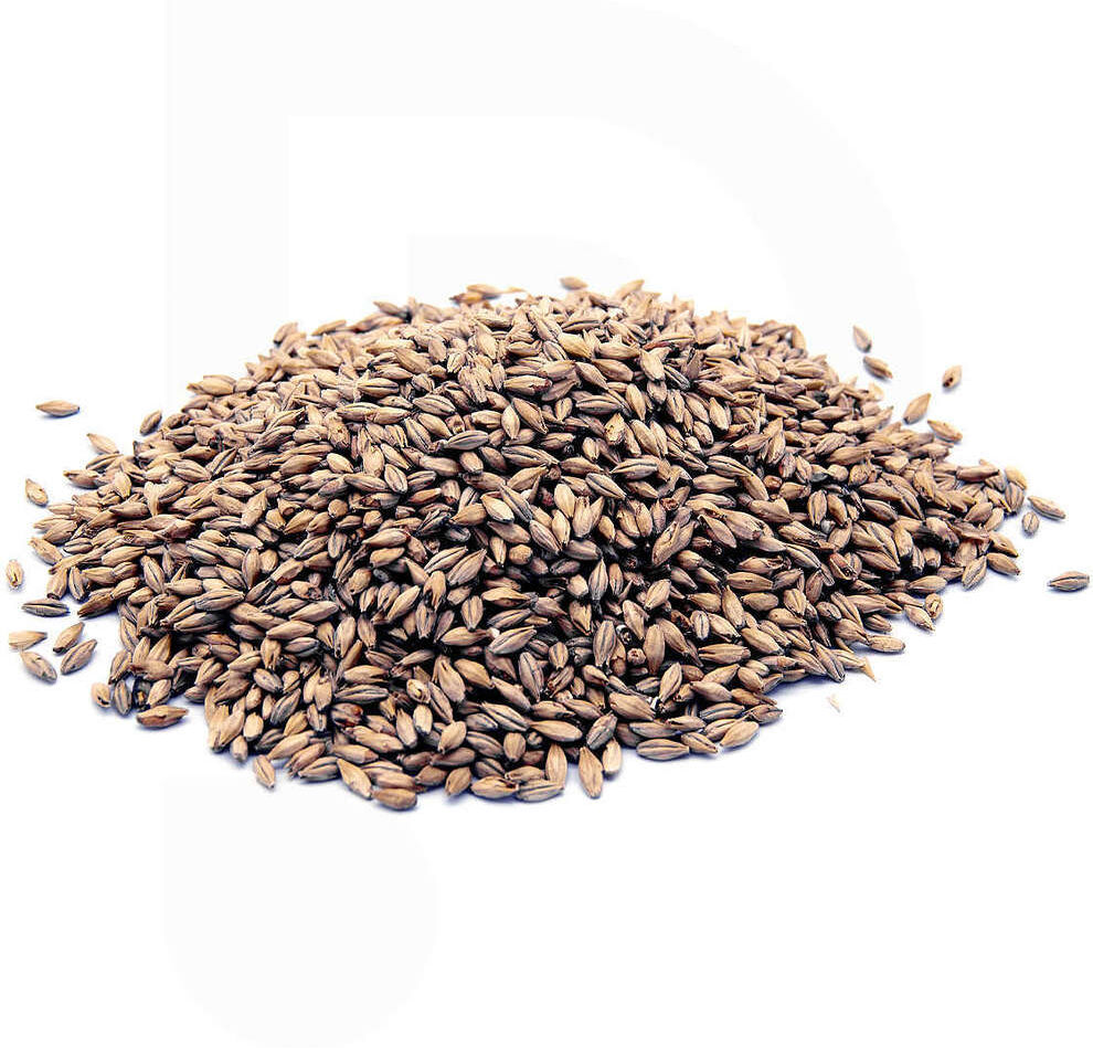 Castle Malting Grains de malt Château Biscuit - EBC 50 (25 kg)