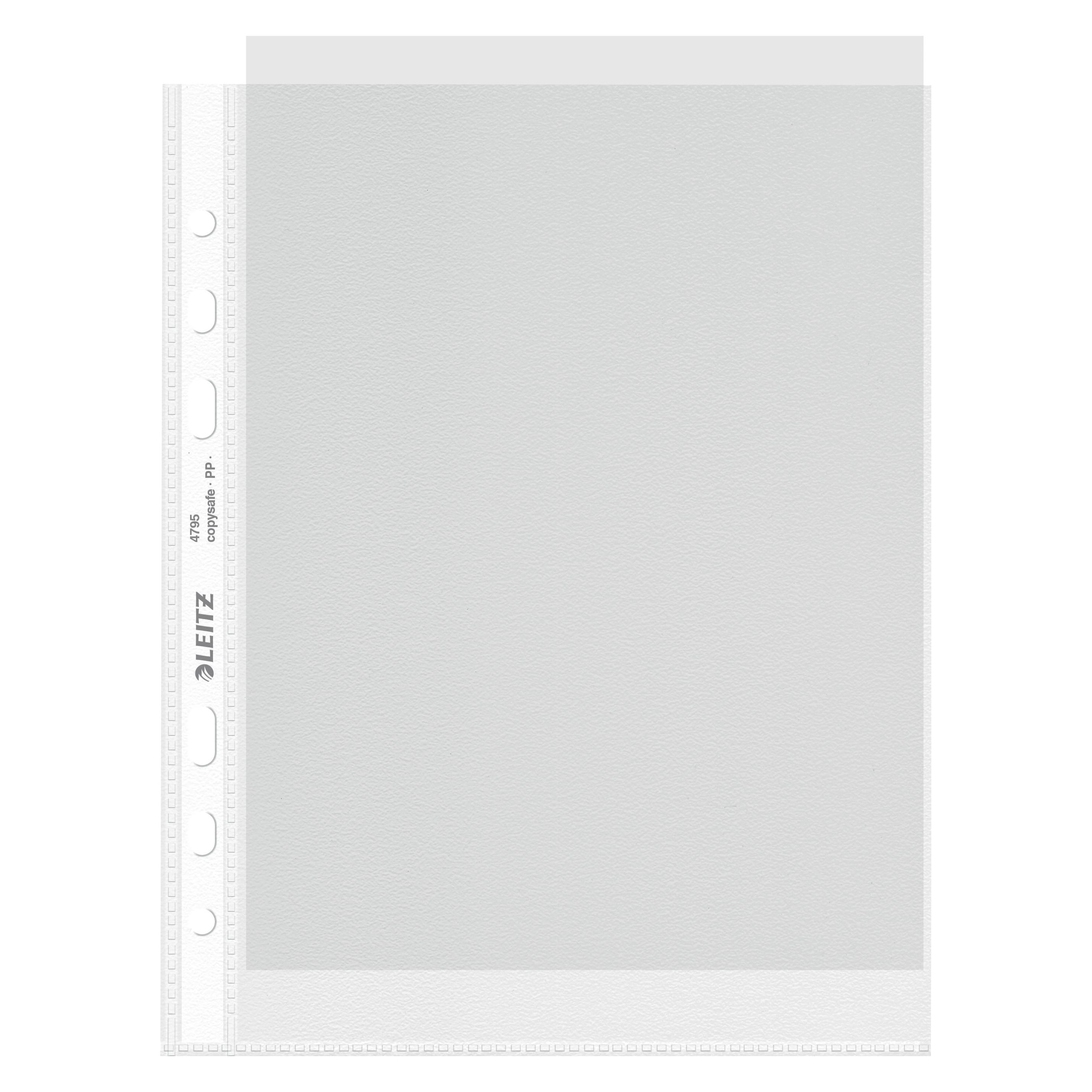 Leitz Standard Prospekthülle (A5, 100x) (4795-00-00)