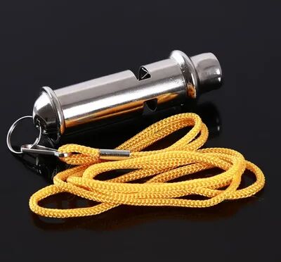 Friendly Fresh Finds High Frequency Stainless Steel Whistle For Emergency, Pet Training & Referees With Lanyard High Frequency Stainless Steel Whistle For Emergency, Pet Training & Referees With Lanyard