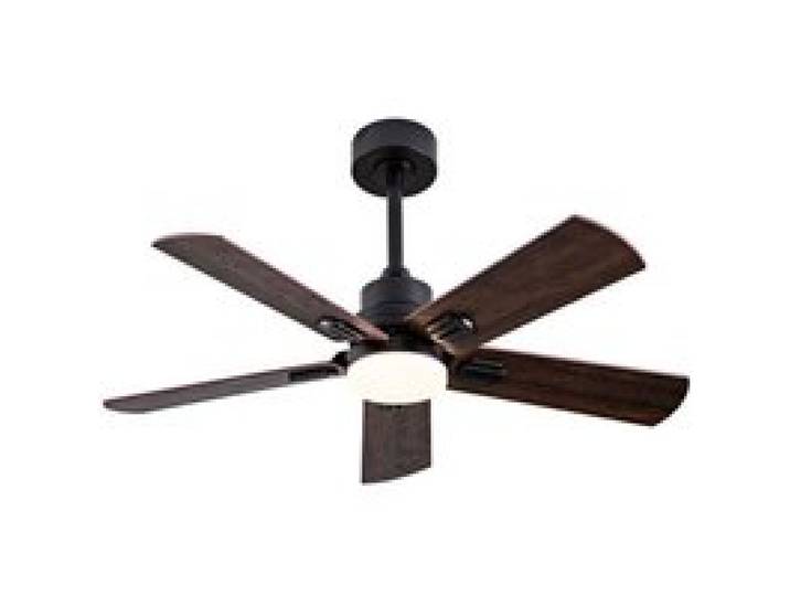 Ventilateur de Plafond avec lumière LED 42 5 Pales 6 Vitesses Télécommande Moteur DC silencieux pour noir VENTILATEUR DE PLAFOND