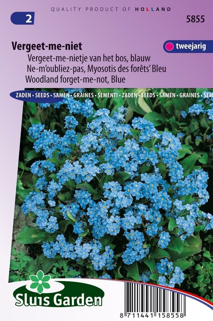 Sluis Garden Myosotis Indigo zaden Vergeet-mij-niet blauw