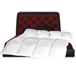 Bestgoodies Betten Set - Daunenfüllung - 135x200cm + 80x80cm - 50% Daunen / 50% Feder