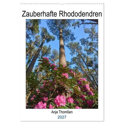 Zauberhafte Rhododendren (Wandkalender 2027 DIN A2 hoch), CALVENDO Monatskalender