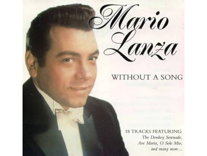 Without A Song