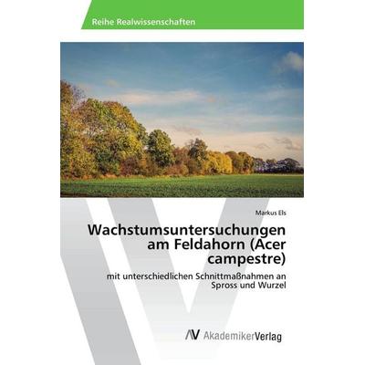 Wachstumsuntersuchungen am Feldahorn (Acer campestre), Taschenbuch von Markus Els, AV Akademikerverlag, 978-3-639-87404-4