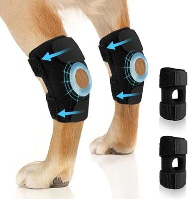 Friendly Fresh Finds Dogs Knee Pads, Leg Support Brace, Arthritis Protector Covers, Hock Joint Wrap, Injury Recovery Supplies m
